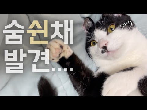 사료맘마 잘 먹고 몸이 동그라미가 되어 충격을 주고있다