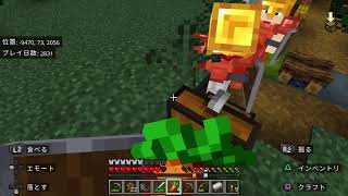 マイクラ　ピグリン要塞までの国道を作る　ピちゃんより