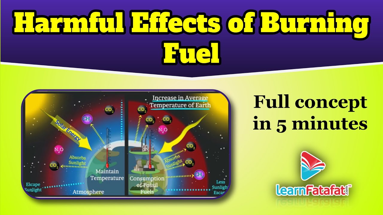 Class 8 Science Combustion and Flame - Harmful Effects of Burning Fuel - LearnFatafat