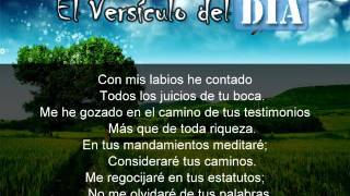 Miniatura del video: El versiculo del dia .com - Salmos 119 v13-16