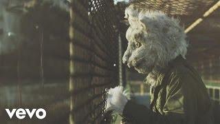 Wildcat! Wildcat! - Mr. Quiche