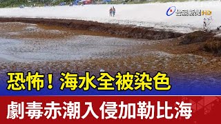 [問卦] 台灣飛荷屬加勒比(經曼谷、荷蘭)要多久