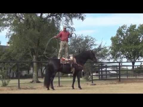 Kairo's Sept  2014 video