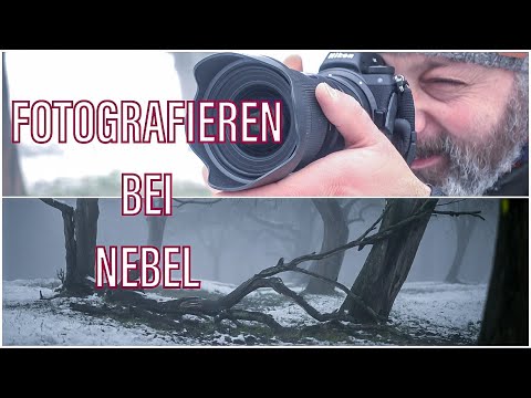Fotografieren im Nebel | Natur | Winter | Nikon | Z6 | mystisch | Drohne | Dji | Mavic | Mini | Test
