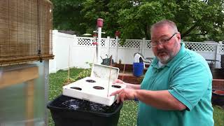 Thumbnail for video: DIY Hydroponic Lettuce Raft