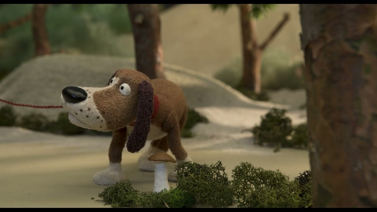 Mushrooms Life (Sēnes dzīve) film clip