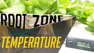 Root zone temperature | Are your plant roots comfortable?🤔