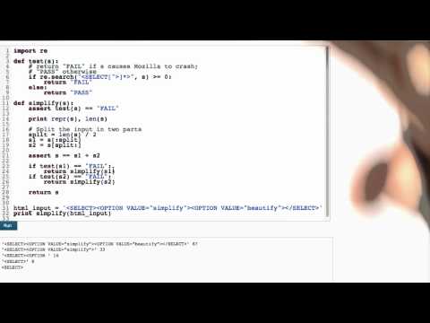 Simplifier In Action Software Debugging