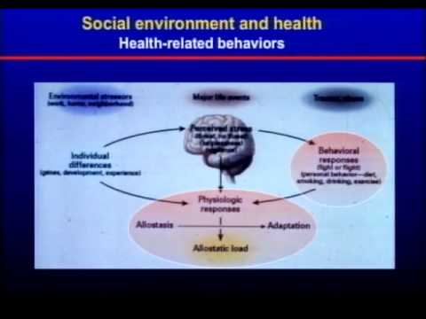 UMDNJ Research Day 6-14-12 w Bruce S. McEwen PhD.mov