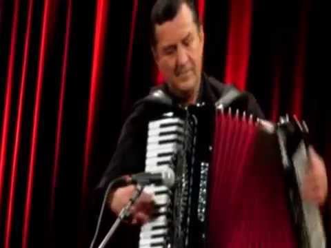 Ljubiša Pavković - virtuoz na harmonici