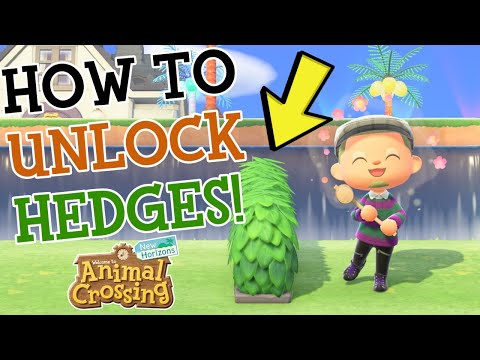 Hedge Acnh
