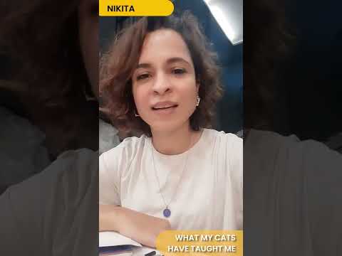 What Cats Taught Us - Part 1 - Happy International Cat Day :)