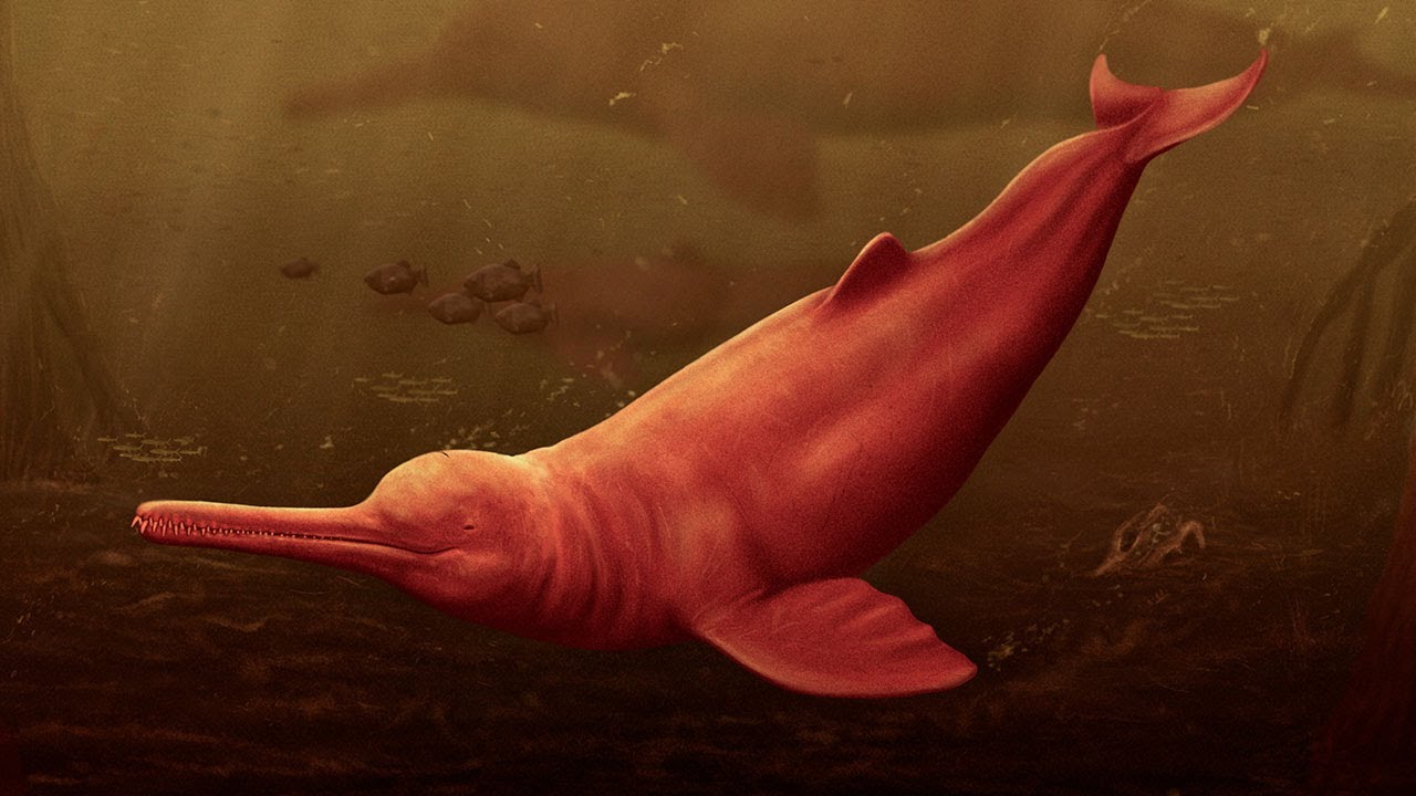 YouTube video preview