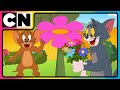 Tom And Jerry Petals In Peril Cartoon For Kids Cat The Mouse Cnindia