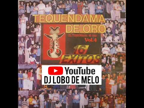 download lagu mp3 mp4 Tequendama De Oro Vol 4, download lagu Tequendama De Oro Vol 4 gratis, unduh video klip Tequendama De Oro Vol 4