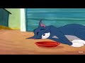 Tom And Jerry Watching Will Laugh Like The Old Days Episode 108