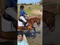 amazing horse riding #horse #equestrian #horseriding #jumping #riding #failarmy #funny
