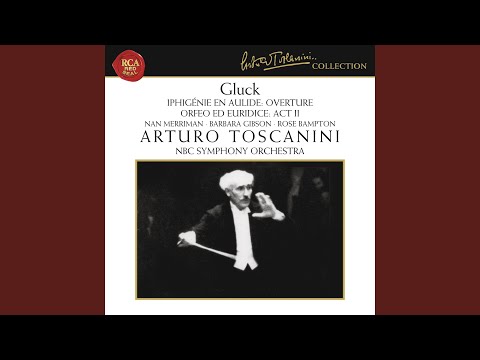 Orfeo ed Euridice, Wq. 30: Act II: Scene 2 - Dance of the Blessed Spirits: Dance of the Heroes...