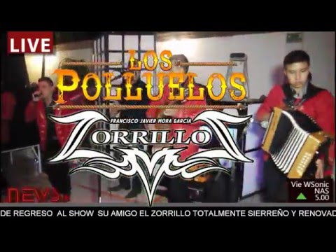 LOS POLLUELOS & El Zorrillo Show -  POPURRI SIERREÑO