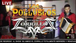 LOS POLLUELOS & El Zorrillo Show -  POPURRI SIERREÑO