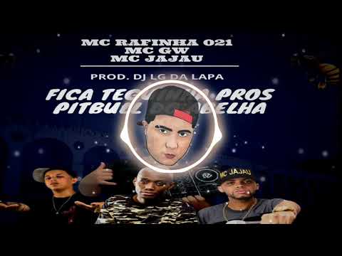 FICA TEGUINHA PROS PITBULL DO ABELHA - MCS RAFINHA , GW, JAJAU - (PROD. DJ LG DA LAPA)