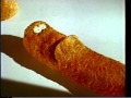 Inghams Chicken Chippees Australian TV Ad 1995