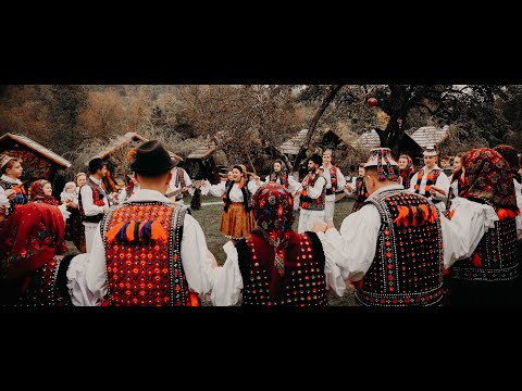 Alina Dunca - Haina scumpa pe spinare