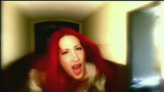 Somebody Help Me - Full Blown Rose