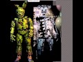 IS THE ENDOSKELETON FROM FNAF 2 SPRINGTRAP S ENDOSKELETON