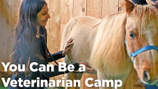 “You Can Be a Veterinarian” & Animal Care camps inspire future careers