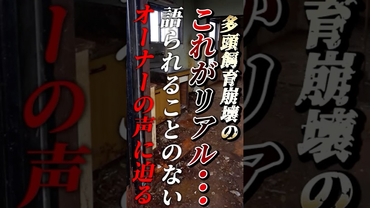 ②【多頭飼育崩壊】8匹の猫のレスキューに向かいます！