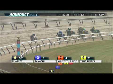 El Areeb - 2017 Jerome Stakes