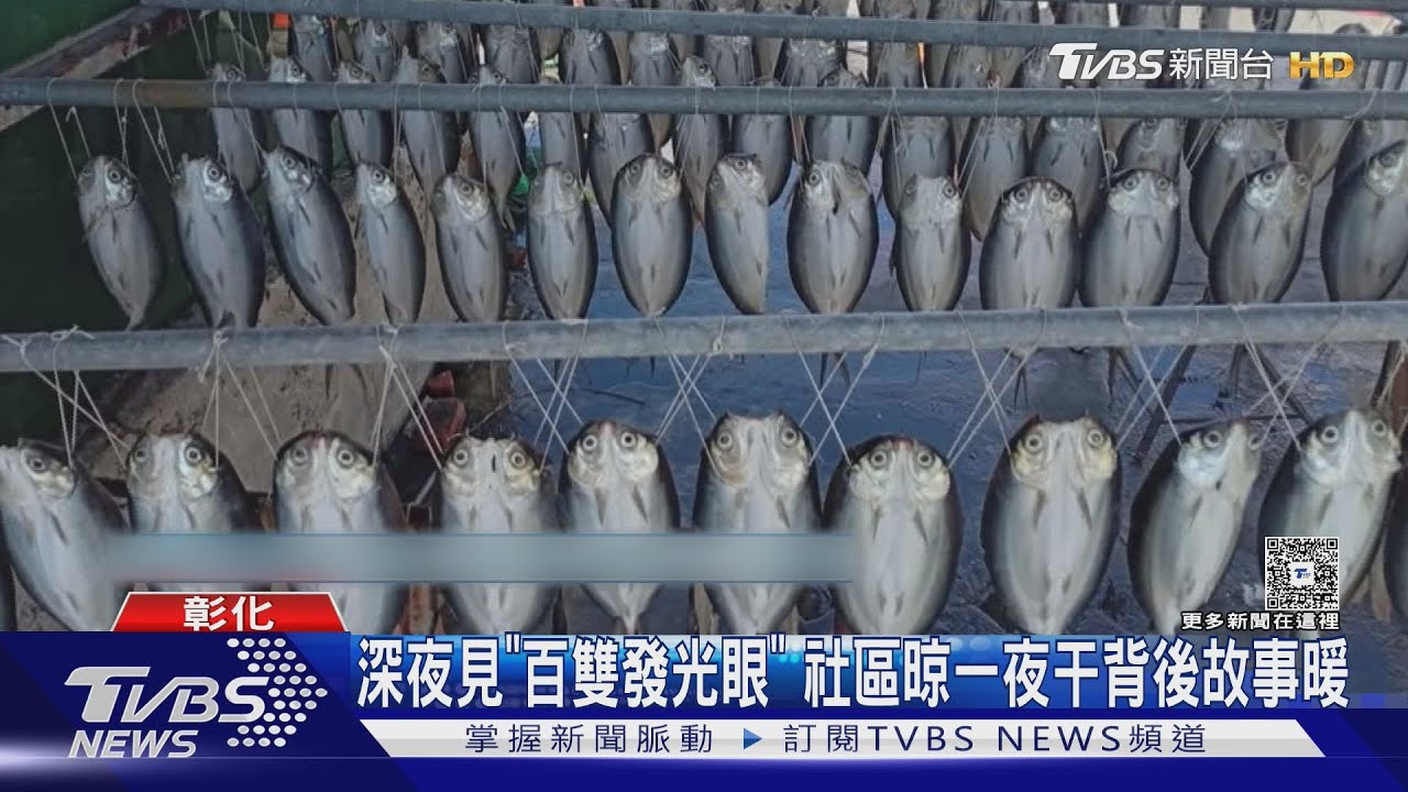 暗夜「數百隻發光眼睛」福寶社區晾一夜干被誤會貓頭鷹　背後故事暖