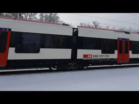Zwischen Möhlin Rheinfelden AG / Zwei Züge im Winterlichen Ambiente S1/ IR 36