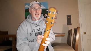 Video thumbnail for Walden Natura D550 Acoustic Review by Sensforce