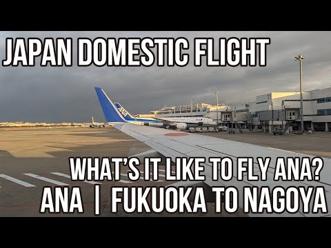 Miniatura YouTube dla ANA Boeing 737-800 Passenger