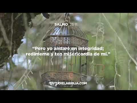 SALMOS 26:11