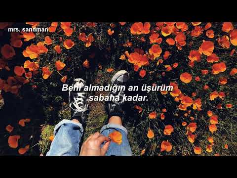 Pinhani- Beni Al (Lyrics)