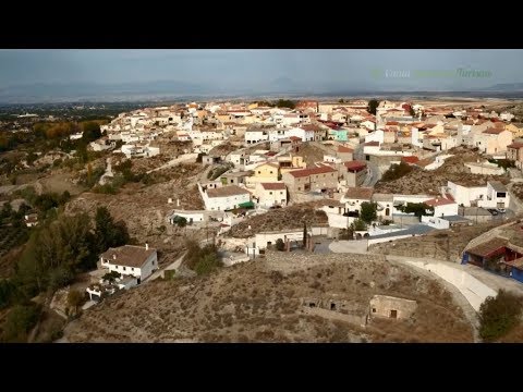 video image