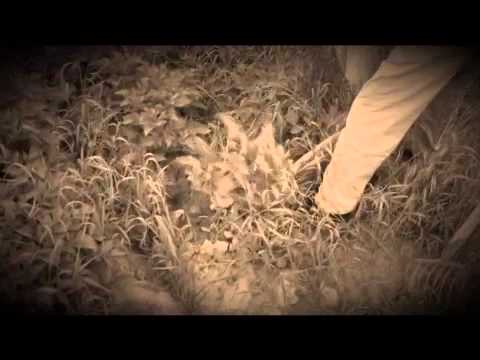 Promo Boesjer Open 2014