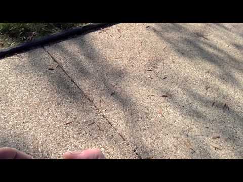 2014 11 10 MONDAY West side capital past reflecting pool; xref: with head mounted video