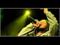 Stephen Marley - Rebel In Disguiselp.mp4