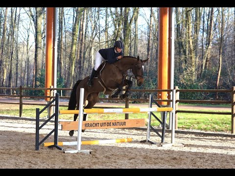 Illya Z IDEAL DE LA LOGE x CARPACCIO - Video 8 video thumbnail