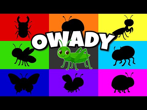 Owady - Bajka edukacyjna - Film edukacyjny owadach dla dzieci