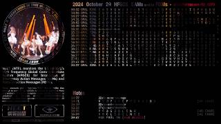 241029