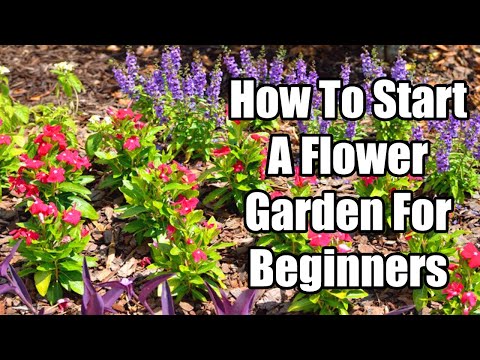 How To Start a Flower Garden For Beginners | Flower Garden Planning For Beginners