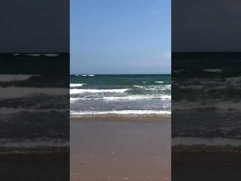 Ardmore Beach June 2019