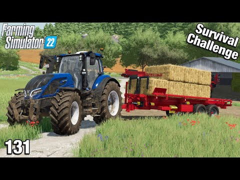 FIRST HARVEST FROM OUR EXPANDED FIELD - Survival Challenge FS22 Calm Lands Ep 131