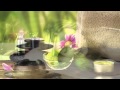 Музыка для медитации: медитация видео, звуки природы 