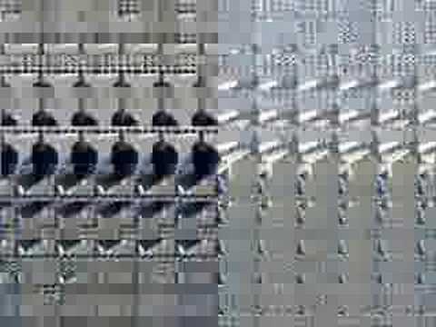 SESSİZ APO-ÜSKÜDAR BU